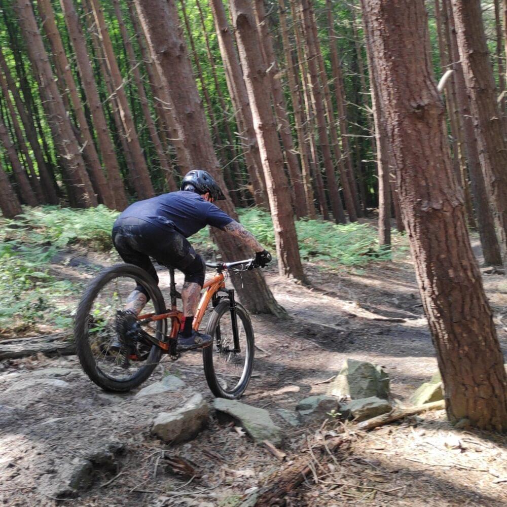 downhill mountain biking